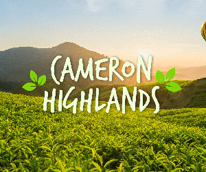 Cameron Highland image