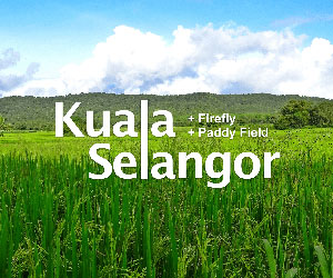 Kuala Selangor image